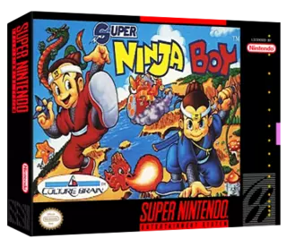 jeu Super Ninja Boy